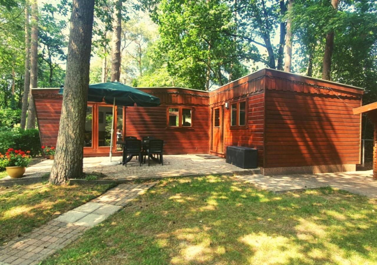 Chalet L2 Dennenrhode Doornspijk Экстерьер фото